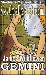 Mags Inc Novelette Story Cover