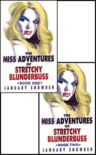 Mags Inc Novelette Cover