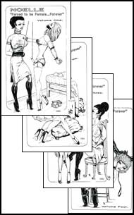 The Feminizers #1