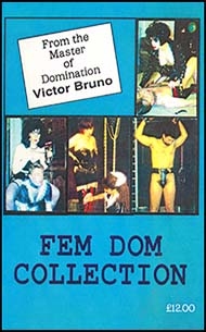 English novelette cover