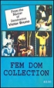 English novelette cover