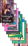 English novelette cover