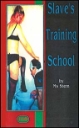 English Novelette cover