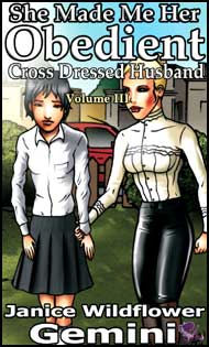 Mags Inc Novelette Story Cover