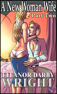 Mags Inc Novelette Story Cover