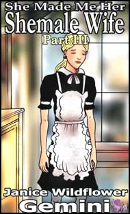 She Made Her SheMale Wife Part 3 by Janice Wildflower Gemini mags inc, crossdressing stories, forced feminization, transgender stories, transvestite stories, feminine domination story, sissy maid stories, Janice Wildflower Gemini