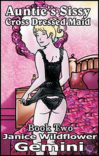 Mags Inc Novelette Cover