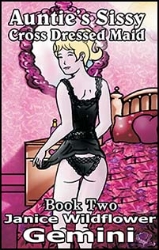 Mags Inc Novelette Cover