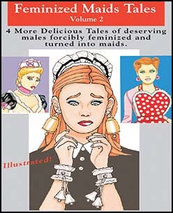 Mags Inc Novelette cover