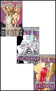 Mags Inc Novelette cover