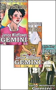 Mags Inc Novelette cover