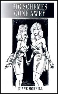 Mags Inc Novelette cover