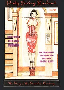Panty Loving Husband Cover