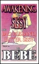 Awakening of a Sissy and Bad Husband, Better Sissy by Bebe mags inc, novelettes, crossdressing stories, transgender, transsexual, transvestite stories, female domination, Bebe