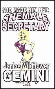 She Made Him Her Shemale Secretary Book 1 by Janice Wildflower Gemini mags, inc, crossdressing stories, transvestite stories, female domination, stories, Janice Wildflower Gemini