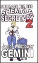 She Made Him Her Shemale Secretary Book 2 by Janice Wildflower Gemini mags, inc, crossdressing stories, transvestite stories, female domination, stories, Janice Wildflower Gemini