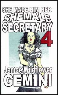 She Made Him Her Shemale Secretary Book 4 by Janice Wildflower Gemini mags, inc, crossdressing stories, transvestite stories, female domination, stories, Janice Wildflower Gemini