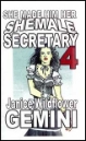 She Made Him Her Shemale Secretary Book 4 by Janice Wildflower Gemini mags, inc, crossdressing stories, transvestite stories, female domination, stories, Janice Wildflower Gemini