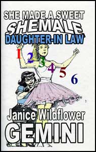 All 6 She Made a Sweet She-Male Daughter-in-Law Stories by Janice Wildflower Gemini mags, inc, novelettes, crossdressing, transgender, transsexual, transvestite, feminine, domination, story, stories, fiction