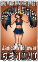 She Made Him Her Sweet Shemale Sister by Janice Wildflower Gemini mags inc, stories, crossdressing stories, transvestite stories, feminine domination story, fiction