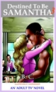 Relucant Press Book Image