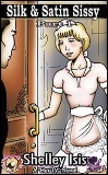 Reluctant Press Novelette Cover