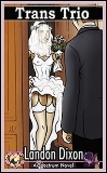 Reluctant Press Novelette Cover